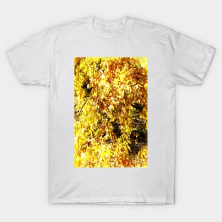 Leaves 8 by Kristalin Davis T-Shirt